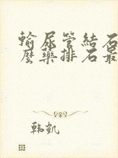 输尿管结石用什么药排石最好