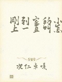 刚到家的小狗晚上一直叫怎么办