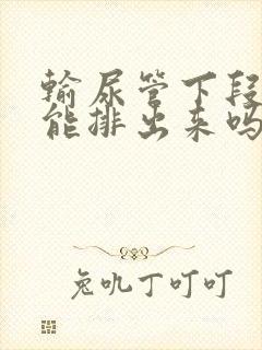 输尿管下段结石能排出来吗