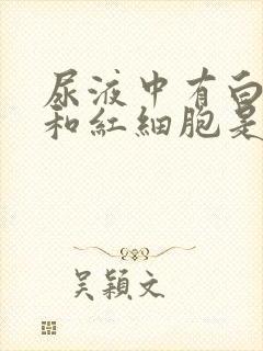 尿液中有白细胞和红细胞是怎么回事