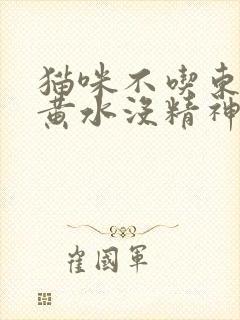 猫咪不吃东西吐黄水没精神