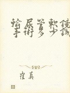 输尿管软镜取石手术多少钱