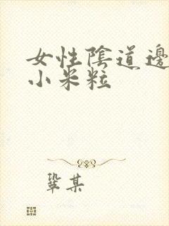 女性阴道边上长小米粒