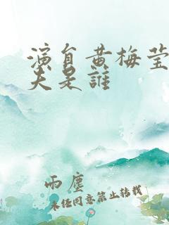 演员黄梅莹的丈夫是谁