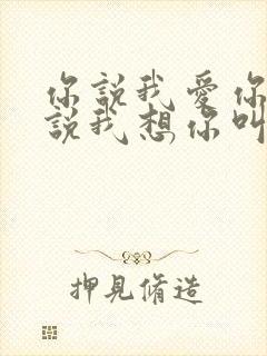 你说我爱你,你说我想你叫什么歌