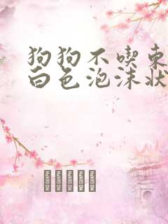 狗狗不吃东西吐白色泡沫状粘液