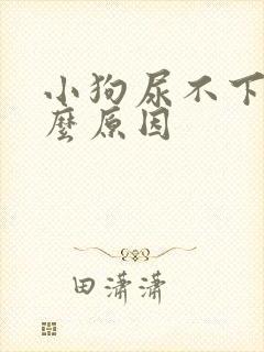 小狗尿不下来什么原因