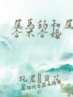 属马的和属猴的合不合婚