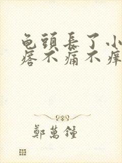 龟头长了小肉疙瘩不痛不痒