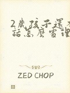 2岁孩子还不说话怎么处理