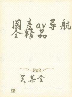 国产av导航大全精品