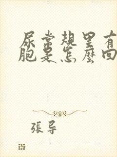 尿常规里有红细胞是怎么回事