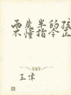 两岁半的孩子听不懂指令正常吗