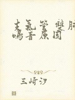 支气管 双肺哮鸣音原因