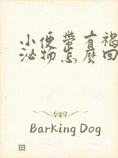 小便带有褐色分泌物怎么回事