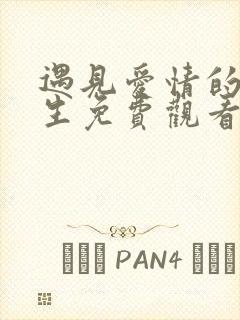 遇见爱情的利先生免费观看