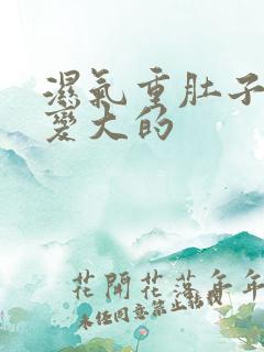 湿气重肚子也会变大的