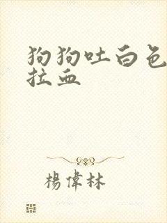 狗狗吐白色粘液拉血