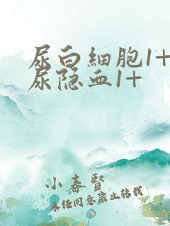 尿白细胞1+ 尿隐血1+