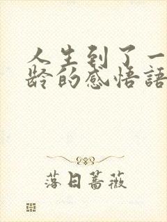 人生到了一定年龄的感悟语录