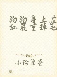 狗狗身上皮肤发红严重掉毛怎么办