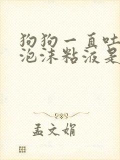 狗狗一直吐白色泡沫粘液是什么原因