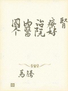 国内治疗肾病哪个医院好