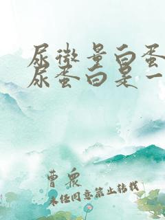 尿微量白蛋白与尿蛋白是一回事吗