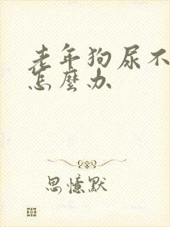 老年狗尿不出尿怎么办