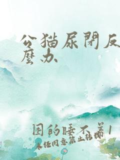 公猫尿闭反复怎么办