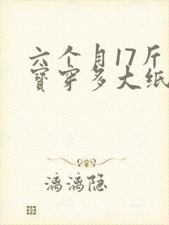 六个月17斤宝宝穿多大纸尿裤