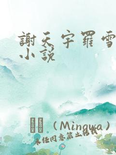 谢天宇罗雪宋渺小说
