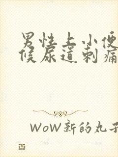 男性上小便的时候尿道刺痛有血是怎么回事