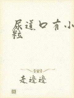 尿道口有小白肉粒