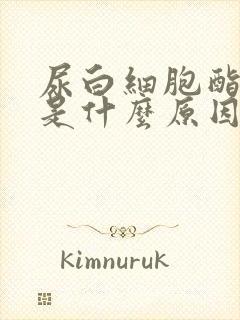 尿白细胞酯酶高是什么原因