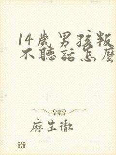 14岁男孩叛逆不听话怎么办