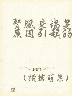 肾脏衰竭是什么原因引起的