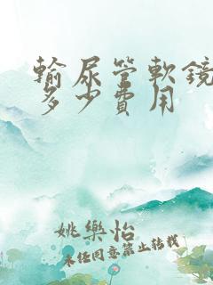 输尿管软镜取石多少费用