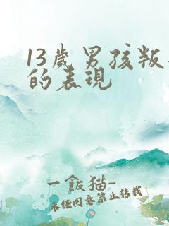 13岁男孩叛逆的表现