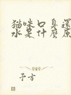 猫咪口臭还流口水是什么原因