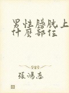 男性膀胱上方是什么部位