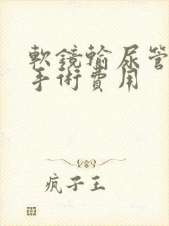 软镜输尿管结石手术费用