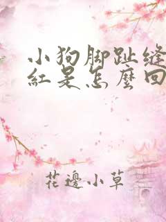 小狗脚趾缝里发红是怎么回事