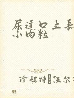 尿道口上长白色小肉粒