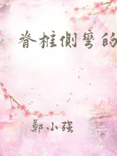 脊椎侧弯的支具