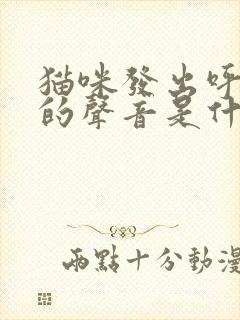 猫咪发出呼噜噜的声音是什么情况