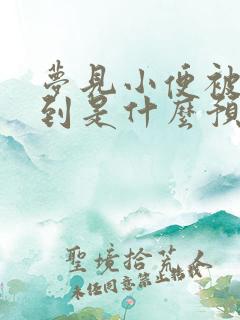 梦见小便被人看到是什么预兆