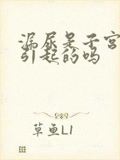 漏尿是子宫下垂引起的吗