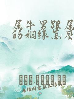 属牛男跟属兔女的姻缘怎么样