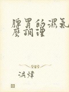 脾胃的湿气重怎么调理